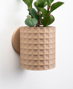Hangende Bloempot Echo – 4.5 inch — originele LoftedGoods-ontwerpersfoto van Thangs; Latte Brown, plant niet inbegrepen