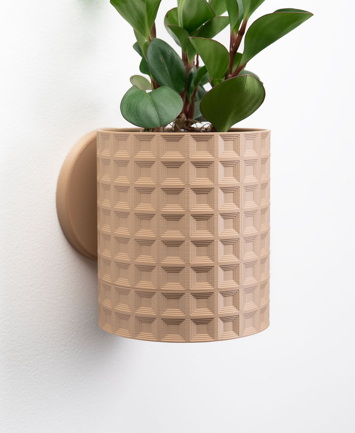 Hangende Bloempot Echo – 4.5 inch — originele LoftedGoods-ontwerpersfoto van Thangs; Latte Brown, plant niet inbegrepen