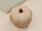 Geribbelde decoratieve herfstpompoen – ontwerpreferentie 4