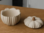 Geribbelde pompoenpot met deksel – ontwerpreferentie 7