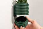 Hangende Bloempot The Wall Poppy