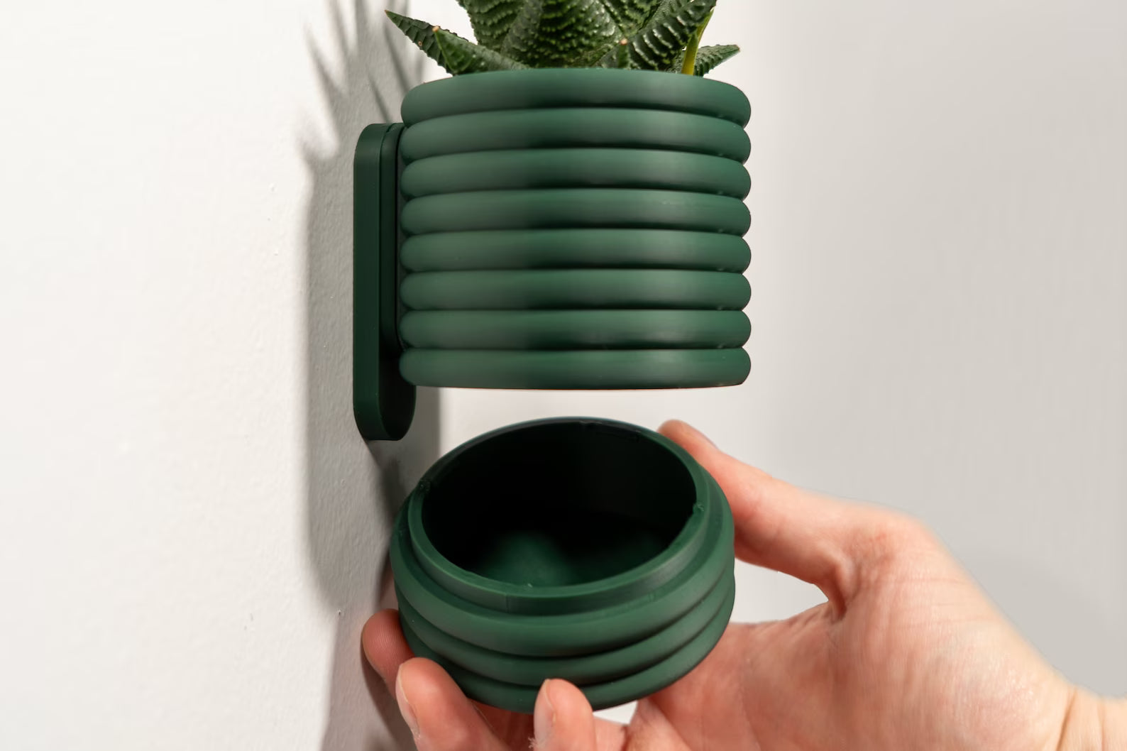 Hangende Bloempot The Wall Poppy