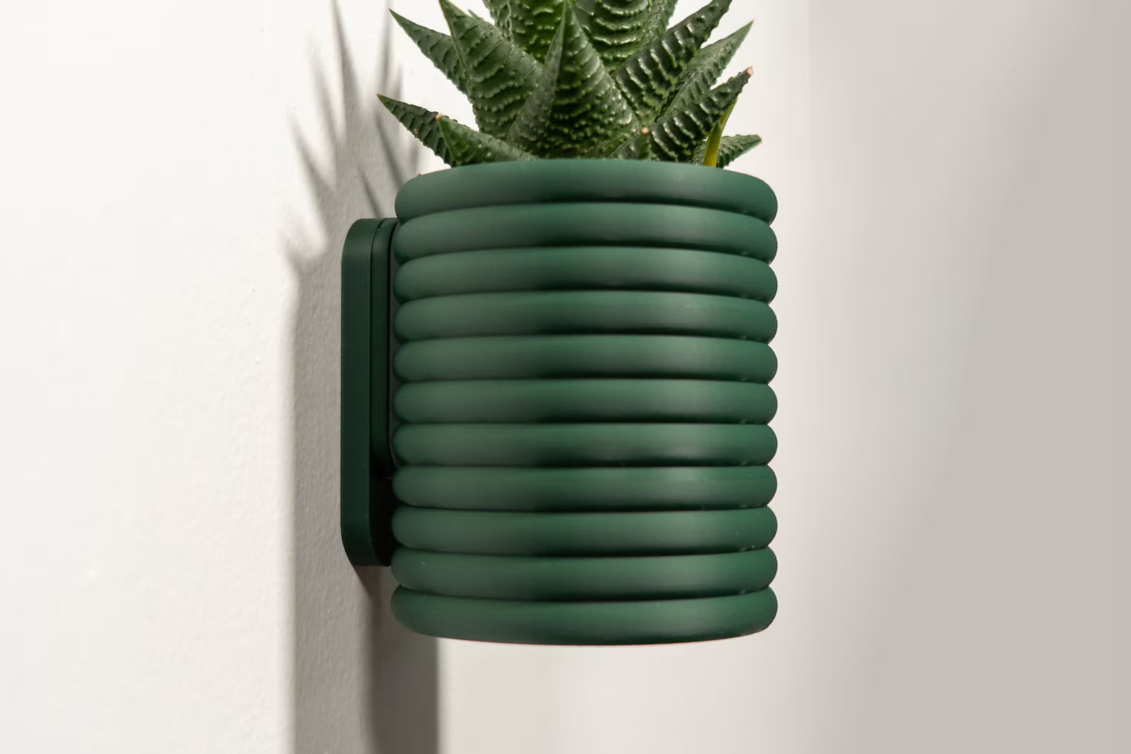 Hangende Bloempot The Wall Poppy